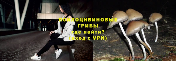 бутират Алексин